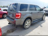 Ford Escape Xls 1FMCU0C77AKD26664 снимка