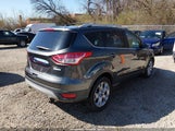 Ford Escape Titanium 1FMCU0JX6FUA41310 fotografie