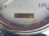 Harley-Davidson Flhrsi 1HD1FYW154Y713726 снимка