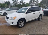 Toyota Rav4 JTMZF33VX9D013987 снимка