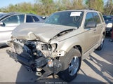Ford Escape Xlt 1FMCU0D7XCKA56735 fotografie