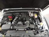 Jeep Wrangler Rubicon 4X4 1C4PJXFG7TW217409 fotografie