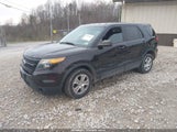 Ford Utility Police Interceptor 1FM5K8AR2DGA80616 снимка