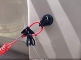 Miniaturka zdjęcia 11