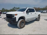 Chevrolet Silverado  Custom Trail Boss 1GCPYCEF9LZ260208 снимка