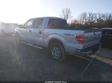 Ford F-150 Xlt 1FTFW1ET9EFD07043 снимка