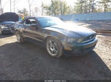 Ford Mustang V6 Premium 1ZVBP8EM8E5208388 снимка