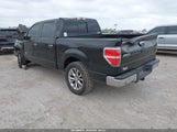 Ford F-150 Xlt 1FTFW1CT3BFB23490 снимка