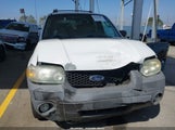Ford Escape Xlt 1FMYU03Z87KA66517 снимка