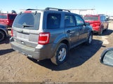 Ford Escape Xlt 1FMCU0D7XAKD43196 снимка