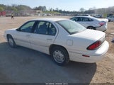 Chevrolet Lumina 2G1WL52J611220391 снимка