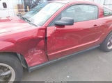 Ford Mustang V6 Deluxe/V6 Premium 1ZVFT80N555110335 photo