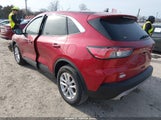 Miniaturka zdjęcia 3