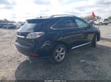 Lexus Rx 350 2T2BK1BA8AC023804 снимка