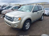 Ford Escape Xlt 1FMCU0D71AKD18848 fotografie