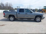 Ram Dakota Bighorn/Lonestar 1D7RW3GK3BS579528 fotografie