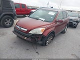 Honda Cr-V Ex-L JHLRE38757C039562 photo