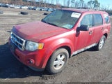 Ford Escape Xlt 1FMCU0DG0BKB08663 снимка