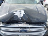 Ford Escape Se 1FMCU0GDXHUA07502 снимка