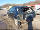 Chevrolet Equinox 1Lt 2GNFLEEK7D6334071 снимка