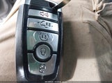 Miniaturka zdjęcia 11