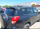 Toyota Rav4 JTMZD33V286060584 снимка