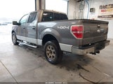 Ford F-150 Xlt 1FTFW1EF5BFC24859 снимка