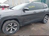 Jeep Cherokee Limited 1C4PJMDB5FW558995 снимка