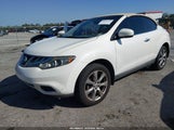 Nissan Murano Crosscabriolet JN8AZ1FY5EW302129 fotografie