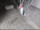 Miniaturka zdjęcia 11