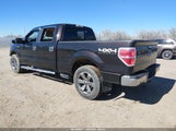 Ford F-150 Xlt 1FTFW1EF5EKF93779 снимка