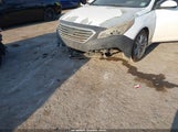 Hyundai Sonata Se 5NPE24AF5GH347699 fotografie