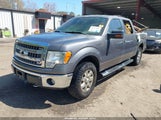 Ford F-150 Xlt 1FTFW1EF4DKF10759 снимка