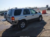 Ford Escape Xlt/Xlt Sport 1FMYU03137KA77144 снимка