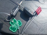 Miniaturka zdjęcia 11