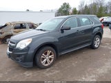 Chevrolet Equinox Ls 2GNFLEEK0E6294062 fotografie