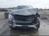 Mercedes-Benz Ml 350 4Matic 4JGDA5HB2CA024179 снимка