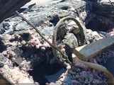 Subaru Outback Premium 4S4BTAFC7S3317262 снимка