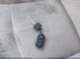 Miniaturka zdjęcia 11