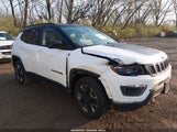 Jeep New Compass Trailhawk 4X4 3C4NJDDB5HT630746 снимка