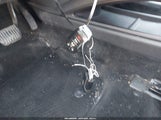 Miniaturka zdjęcia 11