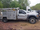 Ford F-550 Chassis Xl/Xlt 1FDAF56R49EA32032 fotografie