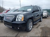 GMC Yukon Denali 1GKFK63827J384154 снимка