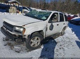 Chevrolet Trailblazer Ls 1GNDT13S762283898 снимка