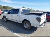 Ford F-150 Fx2 Sport/Harley-Davidson/King Ranch/Lariat/Platinum/Xl/Xlt 1FTFW1CV9AFC94714 снимка