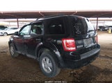 Ford Escape Xlt 1FMCU0DG7BKC30484 fotografie