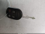 Miniaturka zdjęcia 11