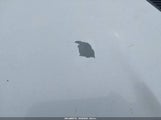 Ford Flex Limited 2FMDK53C39BA16778 снимка
