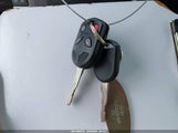 Miniaturka zdjęcia 11