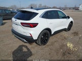 Miniaturka zdjęcia 4